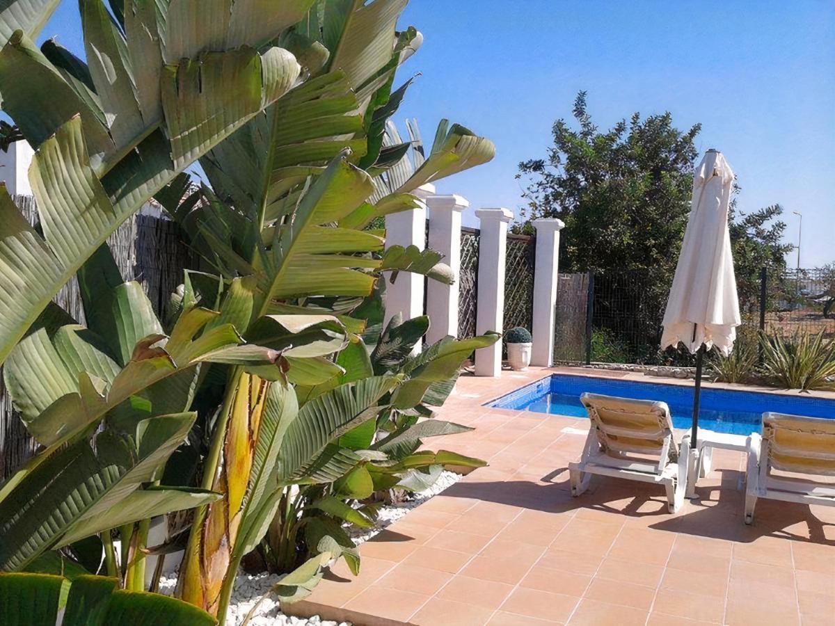 Villa 81 Amazing Villa In A Fantastic Location On Oura Beach Αλμπουφέιρα Εξωτερικό φωτογραφία